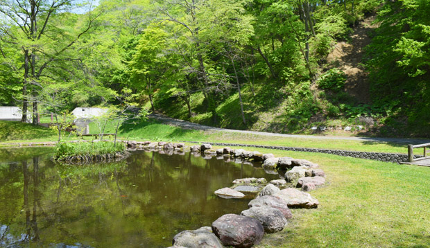 周りには緑色の森林が広がっており、左側には大きな義経公園の池がある自然豊かな義経公園の写真
