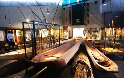 天井まで届くほどの細長い木の棒のようなものがガラスケースで展示されその隣に、桂の大木をくりぬいて作られた大きな丸太舟が横一列に3艇展示されている写真
